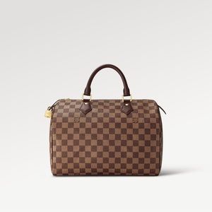Loui Vuitton Purse